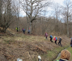 20170312_papuk_ljutoc_005