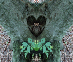 20150712_papuk_005