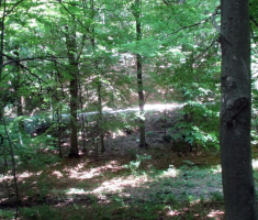 20150712_papuk_029