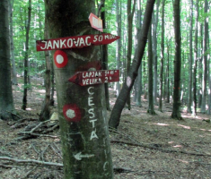 20150712_papuk_033