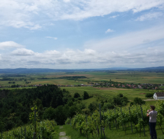20160612_kutjevo_001