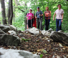 20160612_kutjevo_004