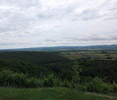 20160612_kutjevo_007