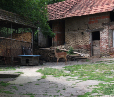 20160612_kutjevo_009