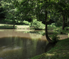 20160612_kutjevo_011