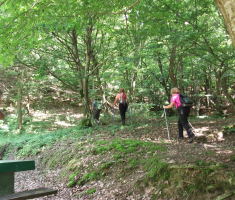 20160612_kutjevo_012