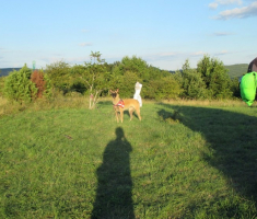 20160812_astro_party_009