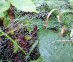 20150912_krndija_001