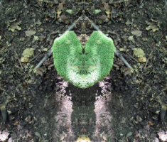 20150912_krndija_044