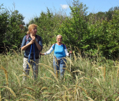 20150912_krndija_048