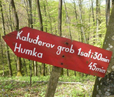 moslavacka_gora_valentin_zagar_007