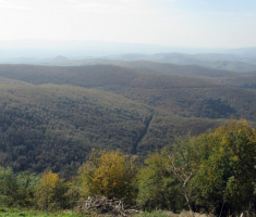 20141012_strazeman_026