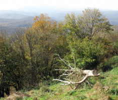 20141012_strazeman_027