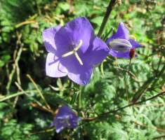 20141012_strazeman_029