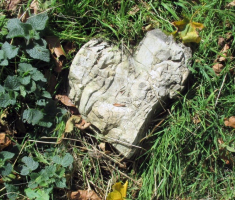 20141012_strazeman_038