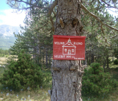 201608_velebit_017