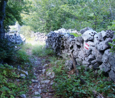 201608_velebit_020