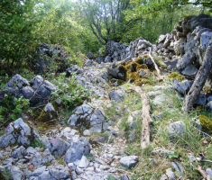 201608_velebit_021