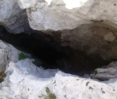 201608_velebit_033