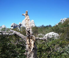 201608_velebit_035