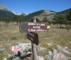 201608_velebit_038