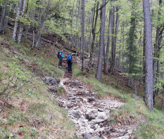 20170513_drazen_smit_slovenija_010