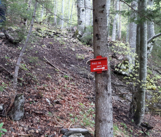 20170513_drazen_smit_slovenija_013