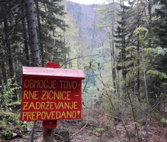 20170513_drazen_smit_slovenija_014