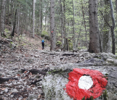 20170513_drazen_smit_slovenija_015