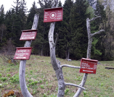 20170513_drazen_smit_slovenija_018