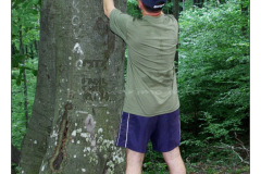 13.06.2010. Papuk