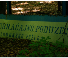 papuk13_003