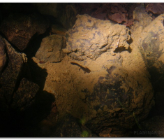papuk13_006