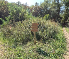 20250913_sovsko_jezero_trail_087