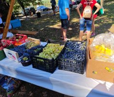 20250913_sovsko_jezero_trail_120