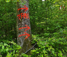 20250913_sovsko_jezero_trail_133