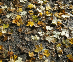 20131013_papuk_001