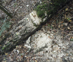 20131013_papuk_003