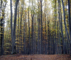 20131013_papuk_005