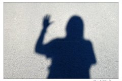 13.11.2010. Slatinsko prigorje