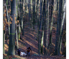 slatina010