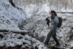 13.11.2016. - Ša, Ša, Šaševo