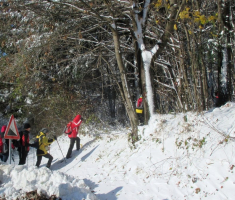20161113_krndija_006