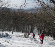 20161113_krndija_026