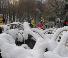 20161113_krndija_038
