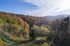 13.11.2022. - Bedemgrad