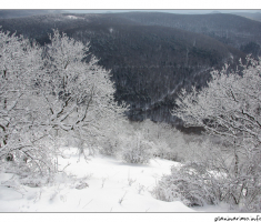 Pogled