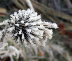20151213_mdp_009