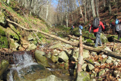 14.02.2016. - Kanjon duboke rijeke
