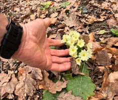 20260214_krndija_trail_046